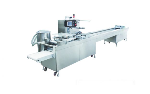 QZ-302 Blister Packing Machine